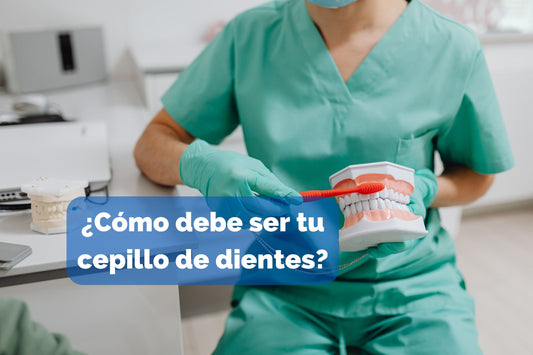 ¿Cómo debe de ser tu cepillo de dientes?